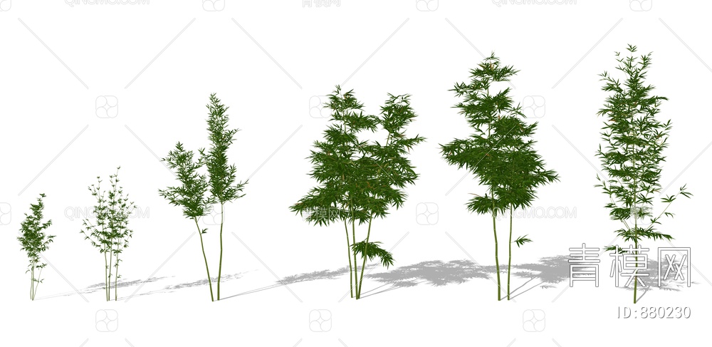 绿植竹子组合