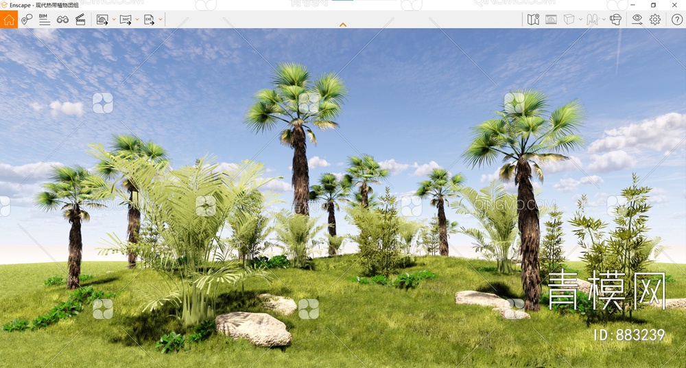 棕榈树群组景观