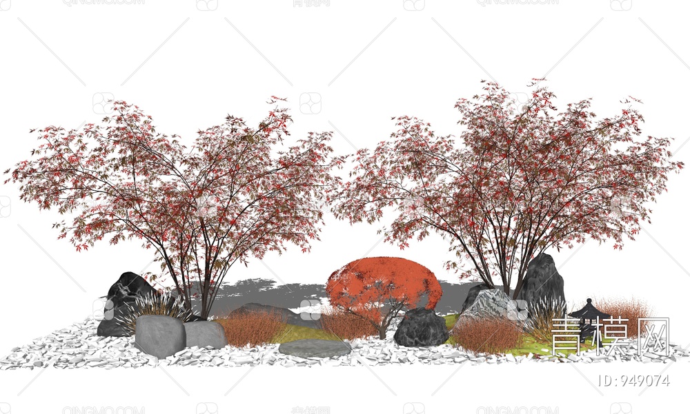 红枫枫树红叶植物树石