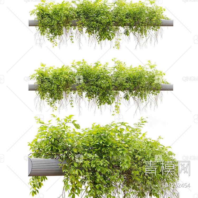 植物堆