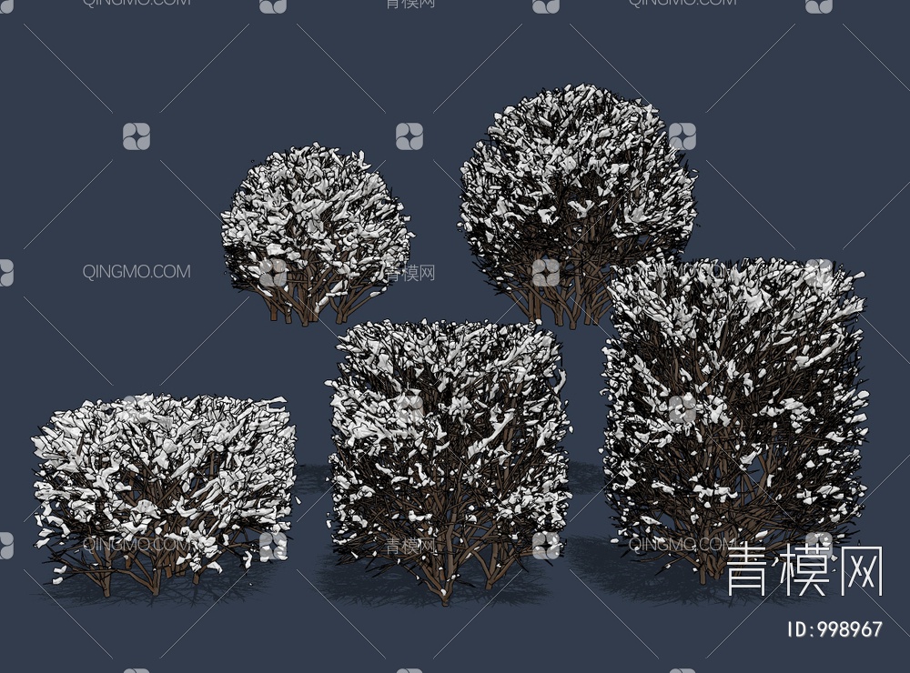雪景灌木