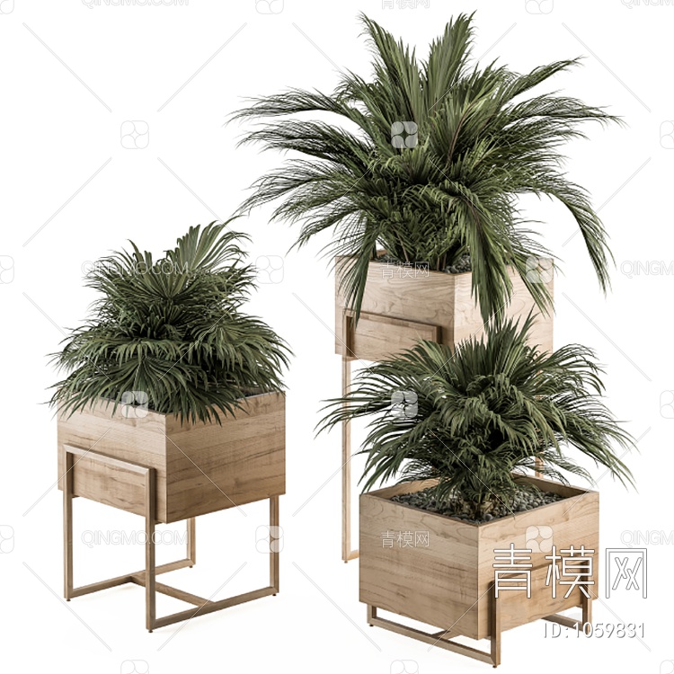 盆栽植物 花箱