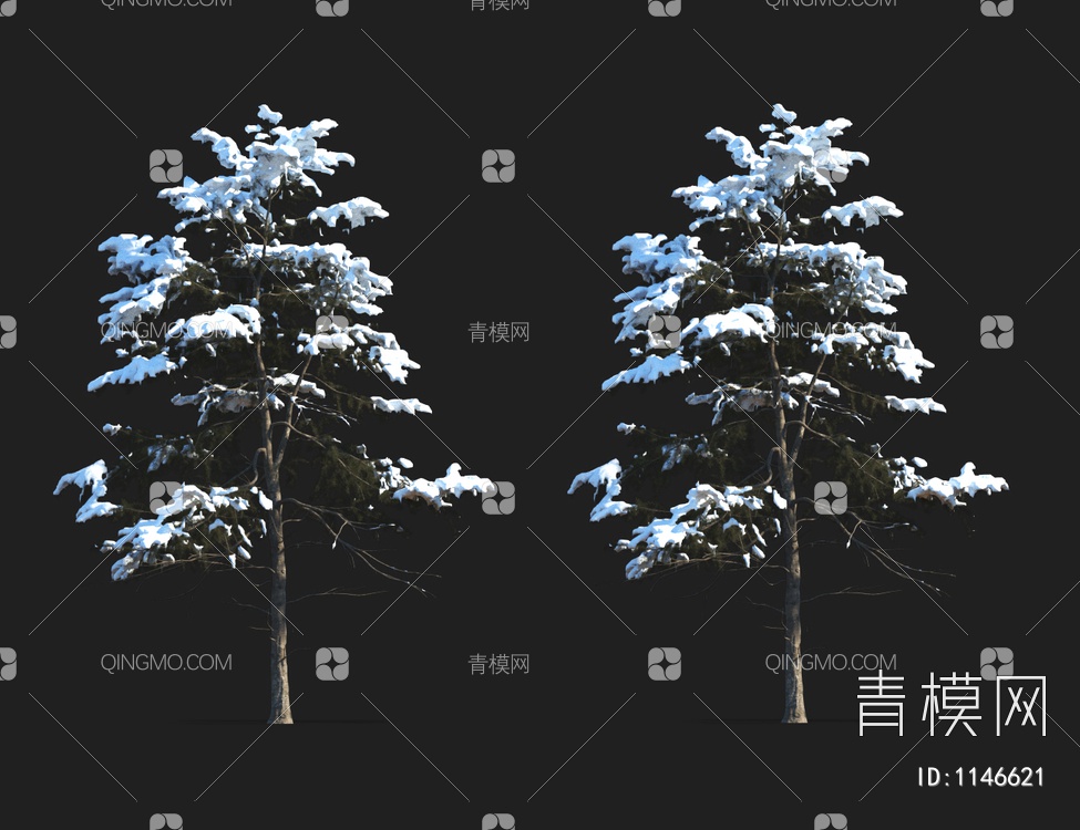 雪景树 冬天树