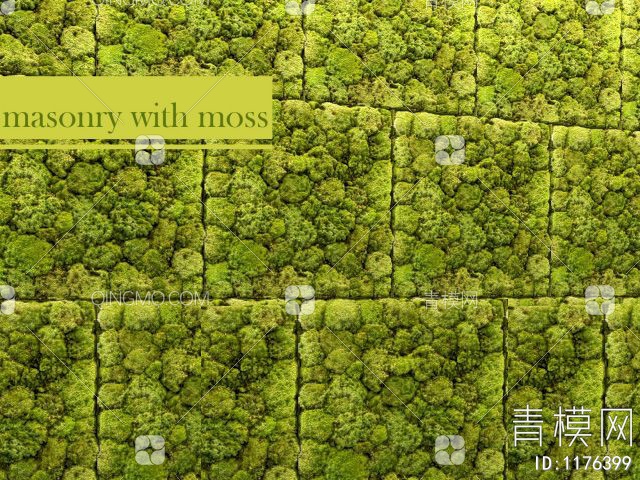 苔藓植物墙 绿植墙