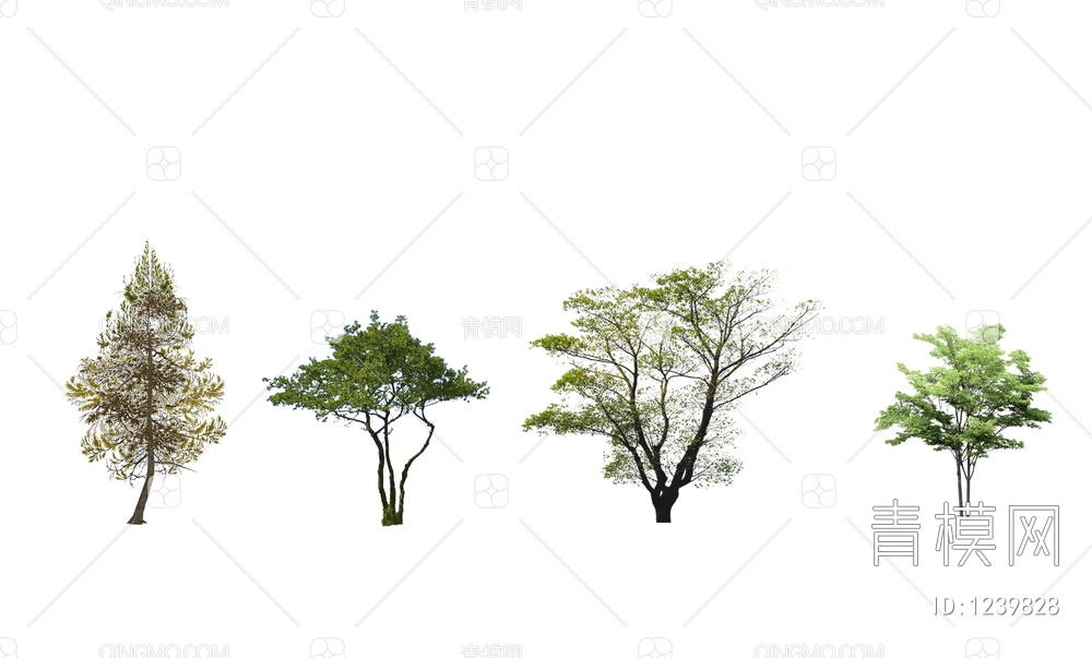 2D树木