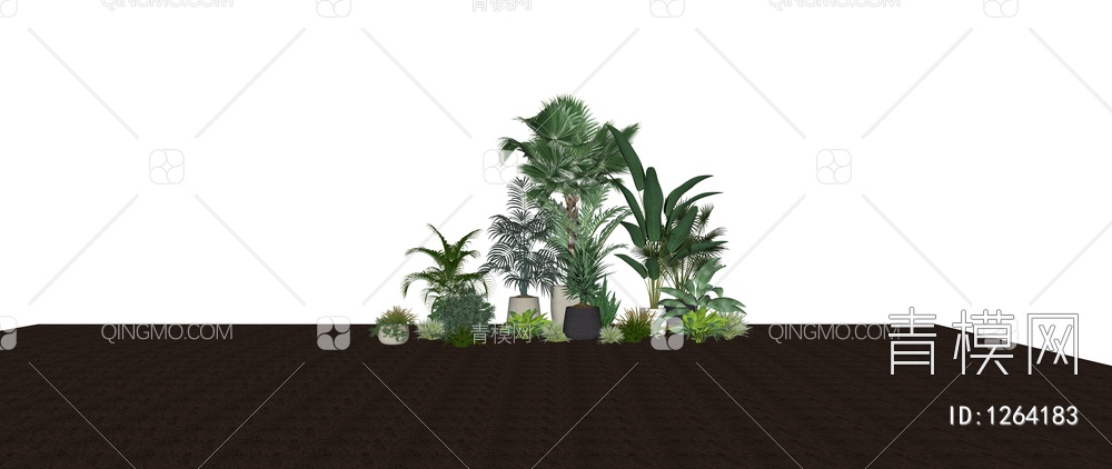 植物盆栽盆景