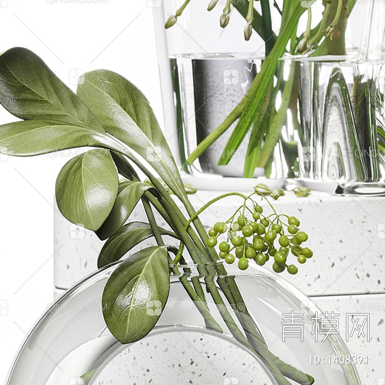 玻璃花瓶水生植物