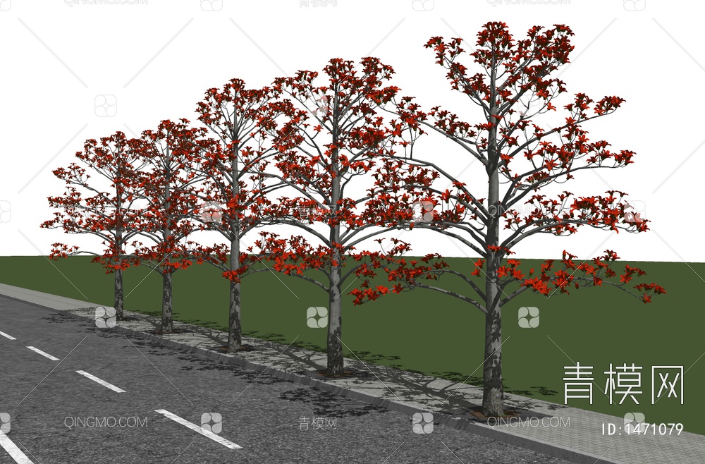 木棉树 景观树 开花树 行道树 美丽异木棉 乔木