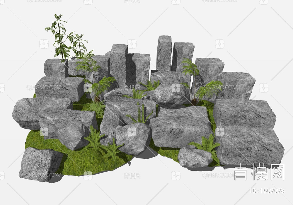 石块 岩石 石头 景观石头 蕨类植物