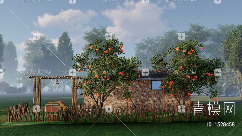 柑橘树橘子树 不知火椪柑蜜桔乡村品种果树
