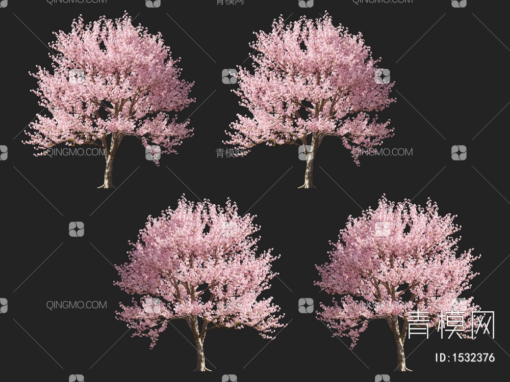 樱花树， 桃花树，开花树