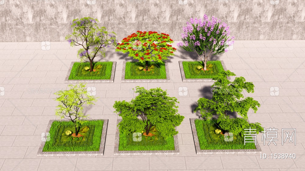 庭院景观树、行道树