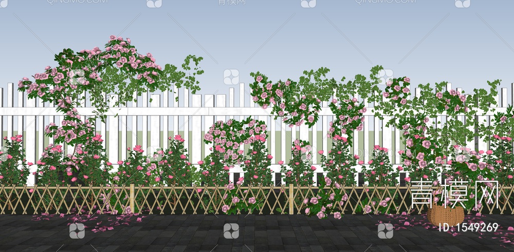 爬藤植物 玫瑰花 蔷薇花 月季 藤本植物 庭园景观花墙 网红打卡花墙