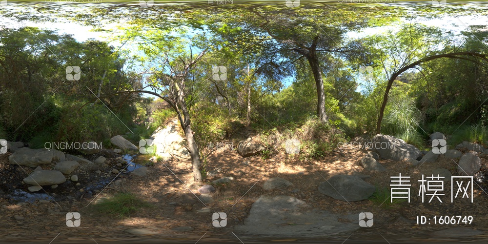 户外森林HDR贴图