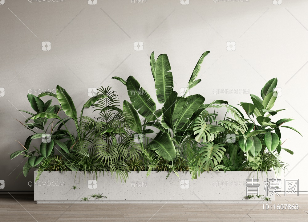 绿植花箱 室内植物造景 植物组合 植物堆 花池花坛