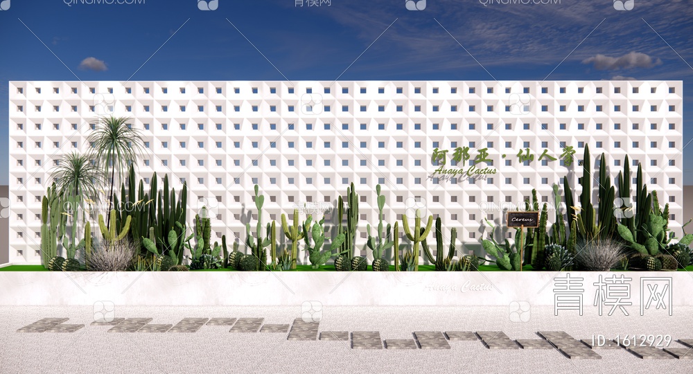 沙生植物庭园花园 水泥砖镂空景墙 沙生植物组合 沙漠热带植物 仙人掌