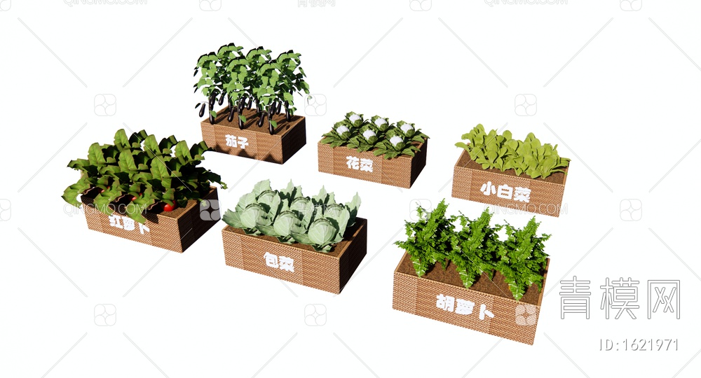 蔬菜种植箱 社区菜园 蔬菜组合 一米菜园 菜箱 茄子 花菜 胡萝卜 白菜