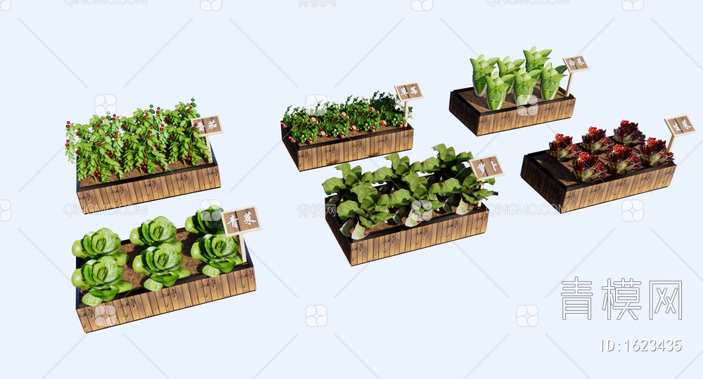 蔬菜种植箱 社区菜园 一米菜园 菜箱 番茄 草莓 萝卜 白菜 生菜