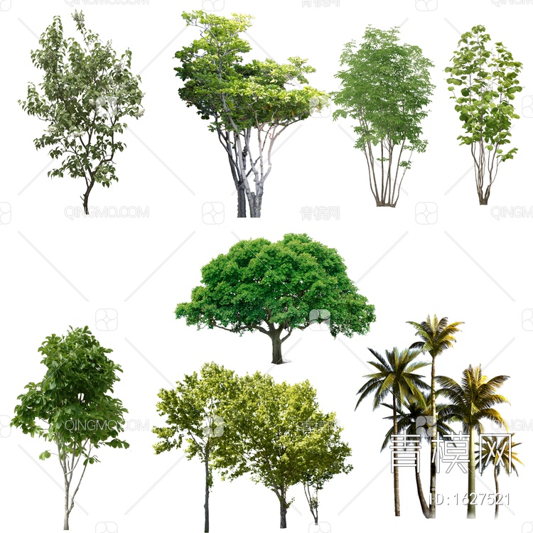 后期素材 树