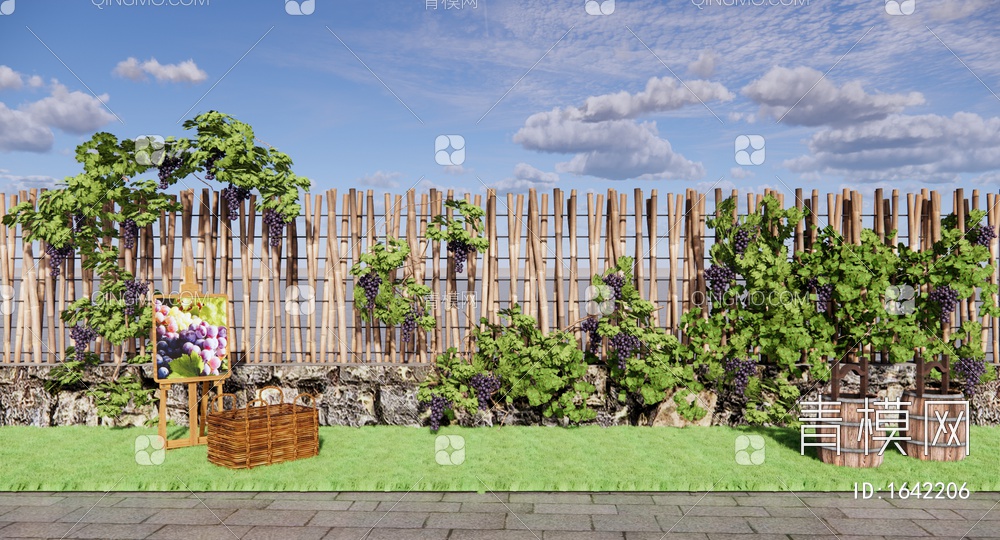 爬藤植物 葡萄藤 葡萄花架 藤蔓植物 篱笆围栏 庭园葡萄树