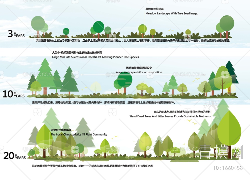景观植物设计分析图