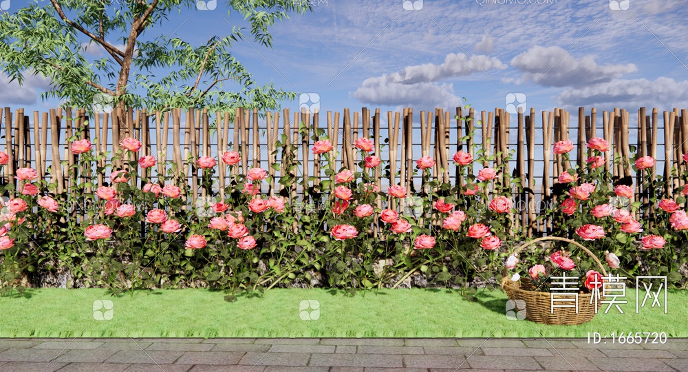 爬藤植物 玫瑰花 月季花 藤蔓植物 庭园景观格栅花墙 栅栏围墙 花藤