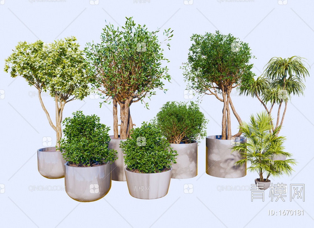 绿植盆栽 植物摆件 装饰品 花盆 景观树 造景盆栽 灌木 乔木