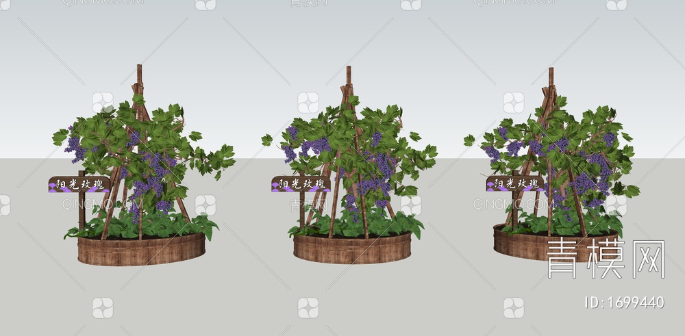 葡萄种植箱 葡萄藤 社区菜园 一米菜园 菜箱 爬藤植物架