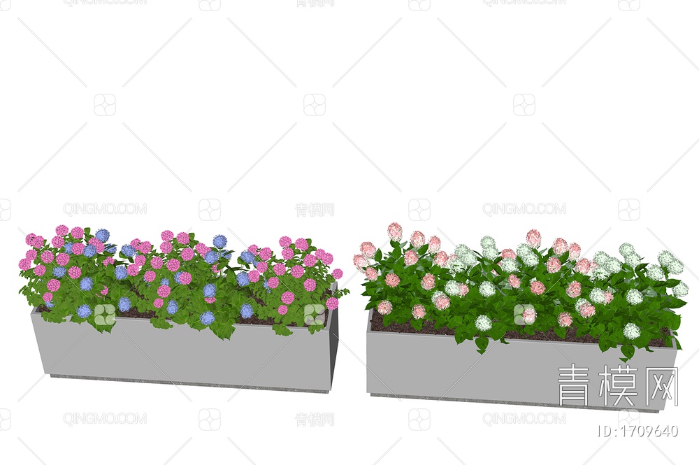 绿植景观花箱盆栽 绣球花  植物组合