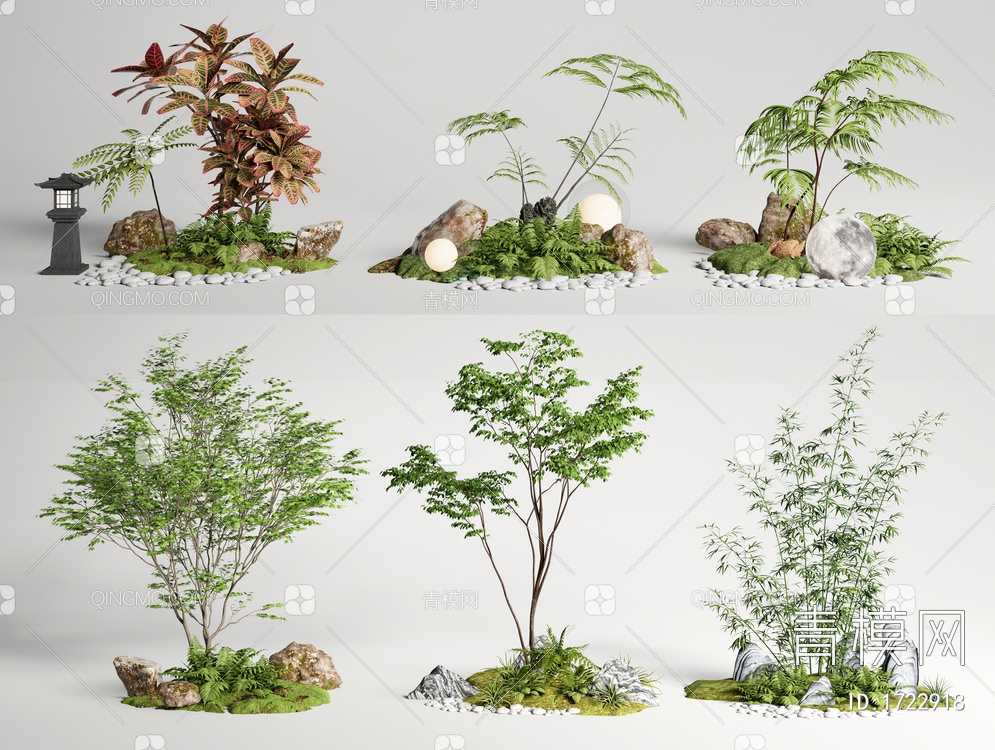 庭院小品 植物组合 植物造景 蕨类植物 景观树 竹子