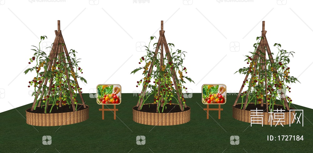 蔬菜种植箱