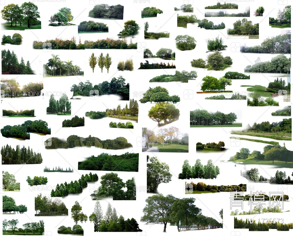 景观背景植物灌木树木免抠PSD