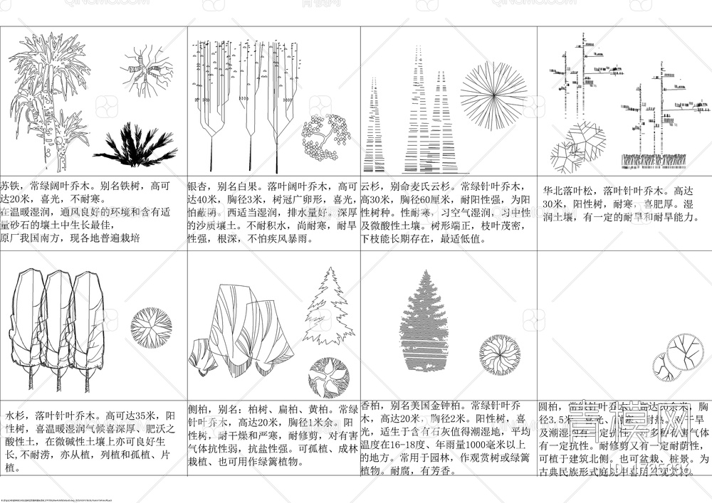 各种平立面树种图块图库