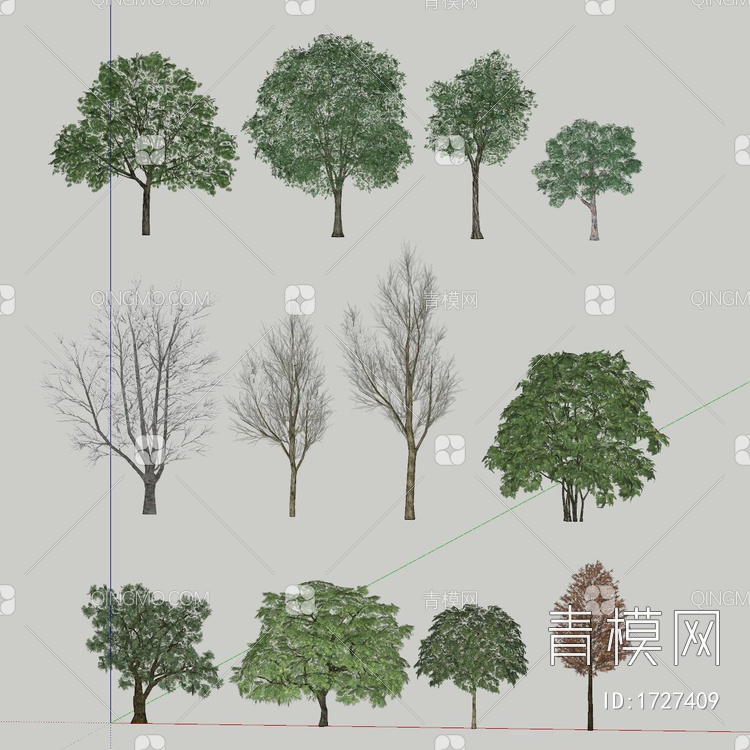 乔木 树木