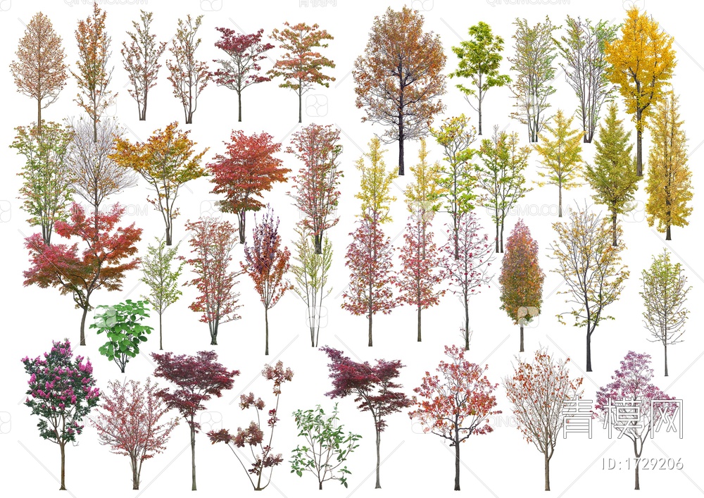 常用景观树木乔木植物素材免抠PSD