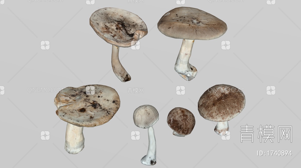 蘑菇 香菇