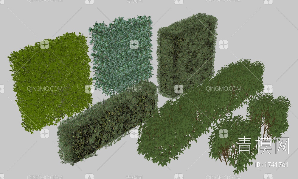灌木绿篱
