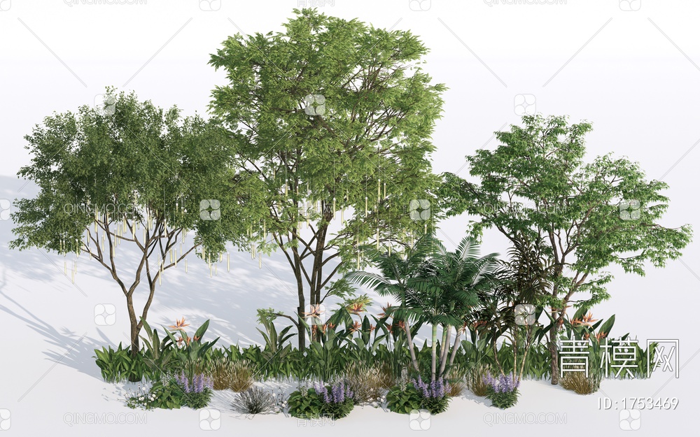 景观植物