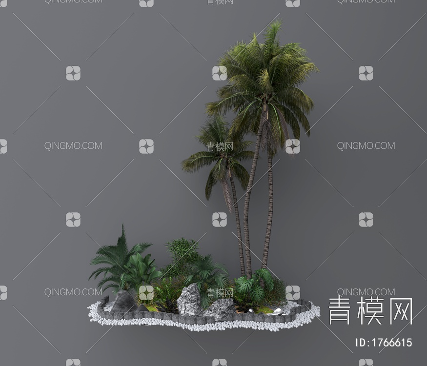 植物景观 绿植 椰子树
