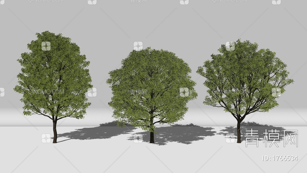 景观行道树