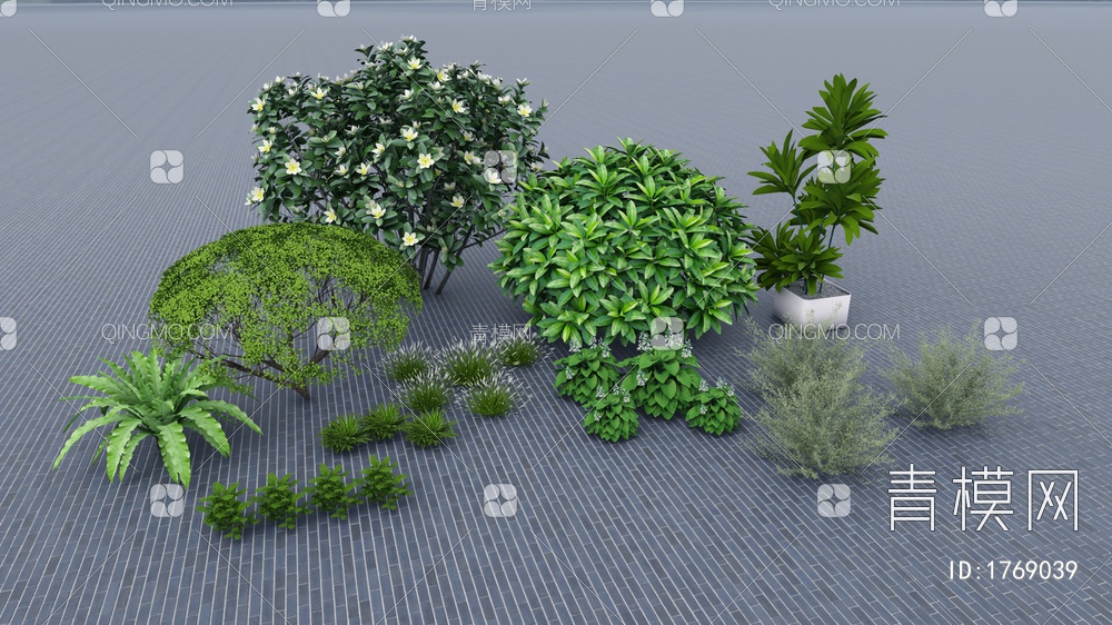 植物组合