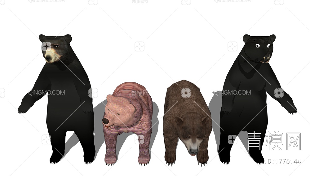 狗熊动物