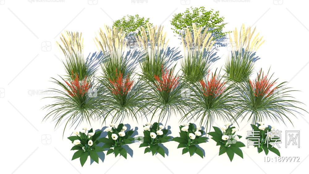常见景观花植物组合