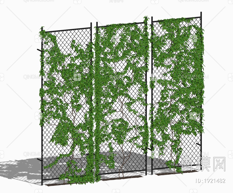 藤蔓绿植墙