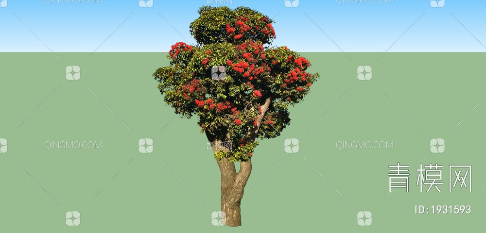 植物大树