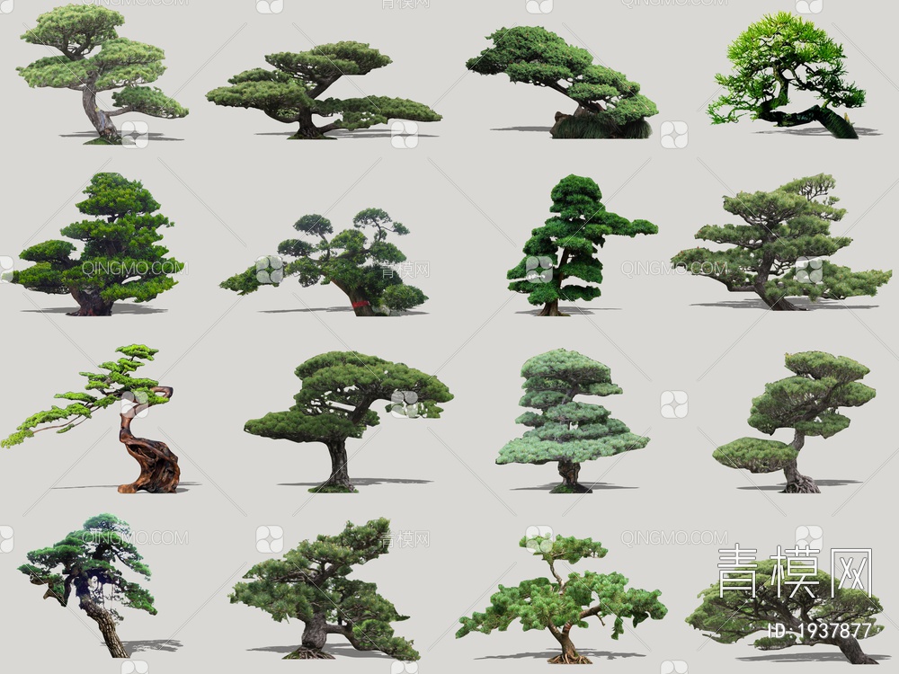 2D造型树