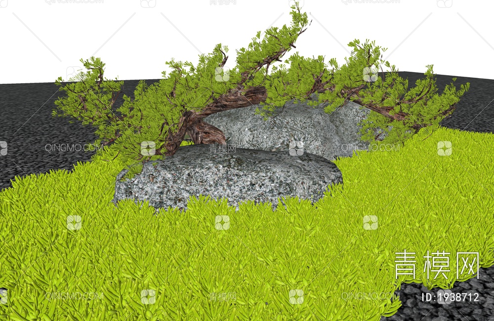 佛甲草 石头 绿植小品