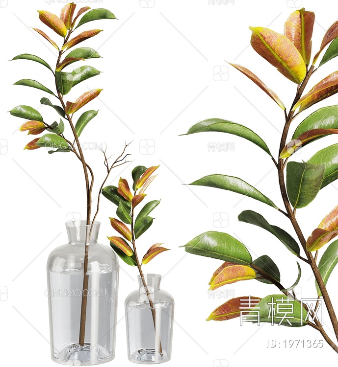 干枝花束 花瓶 盆栽 玻璃瓶 植物