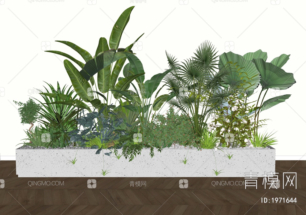 室内景观植物堆