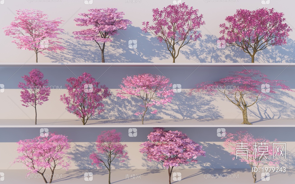 樱花树组合_粉色树